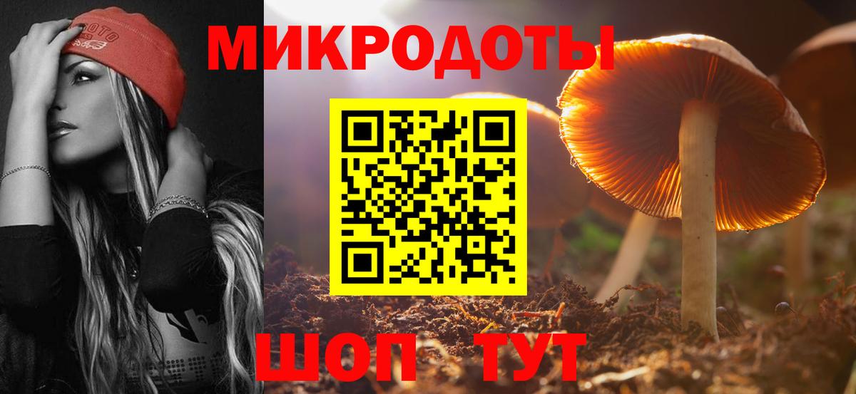 Псилоцибиновые грибы мицелий  Псилоцибиновые грибы ЛСД  Грозный  Вход с VPN 