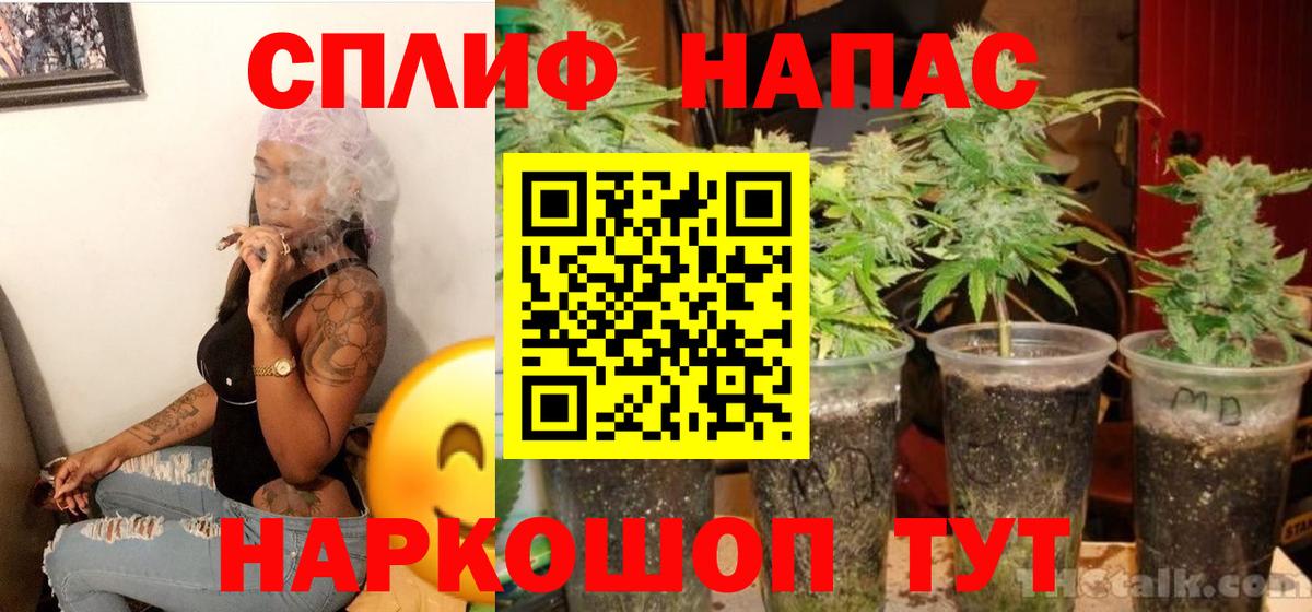 Каннабис марихуана  Канабис планчик  Грозный  Каннабис сатива  Вход с VPN 